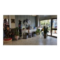 &Epsilon;&gamma;&kappa;&alpha;&tau;&alpha;&sigma;&tau;ά&sigma;&epsilon;&iota;&sigmaf;