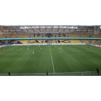 Η παρουσία μας σε αθλητικές διοργανώσεις